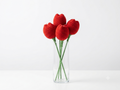 Handmade red crochet flowers arranged in a clear vase
